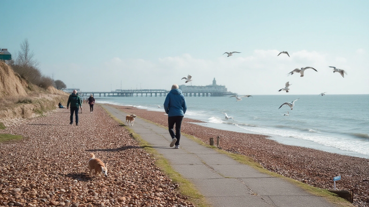 Practical Tips for Dog Walking